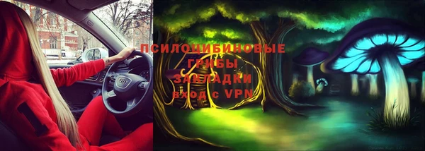 гидра Армянск