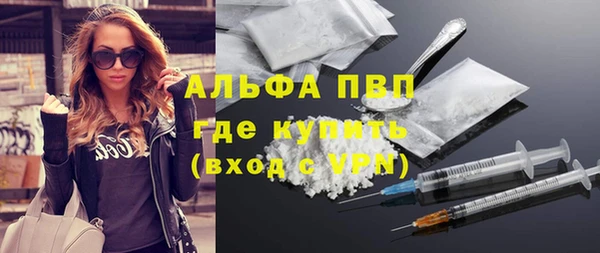 шишки Арсеньев