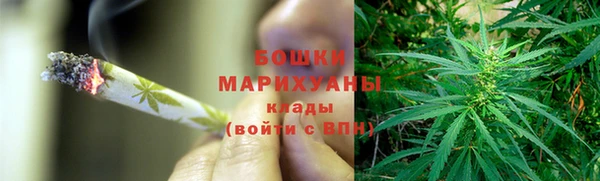 шишки Арсеньев