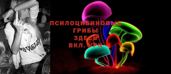гидра Армянск