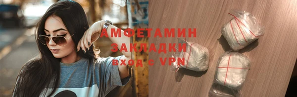 шишки Арсеньев