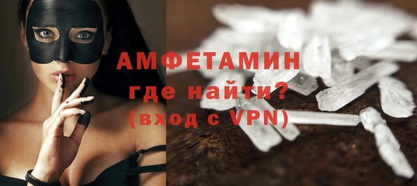 шишки Арсеньев
