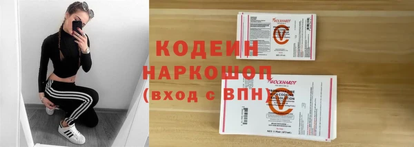 шишки Арсеньев