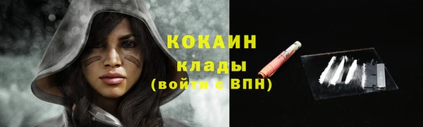 кокс Аркадак