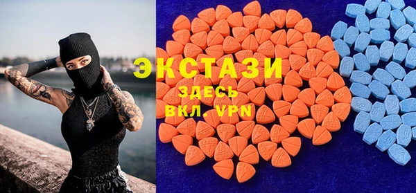 шишки Арсеньев