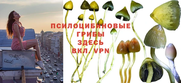 гидра Армянск