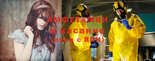 шишки Арсеньев