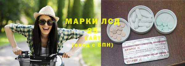 кокс Аркадак