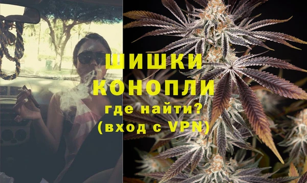 шишки Арсеньев