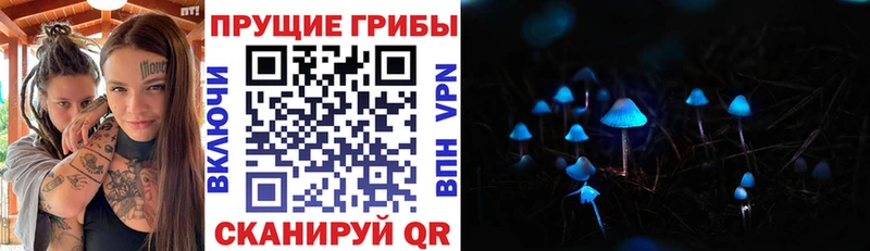 Псилоцибиновые грибы прущие грибы Мончегорск