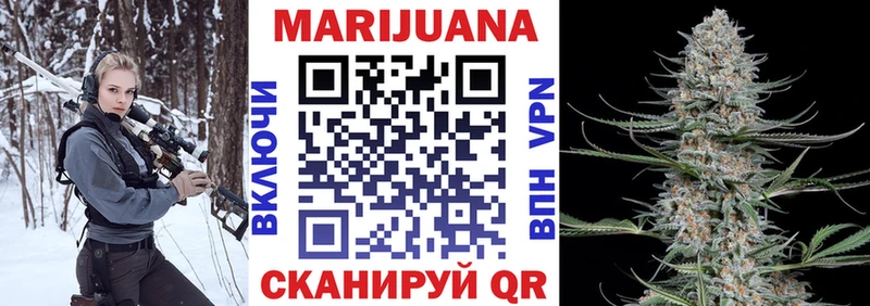 Каннабис индика  Мончегорск 